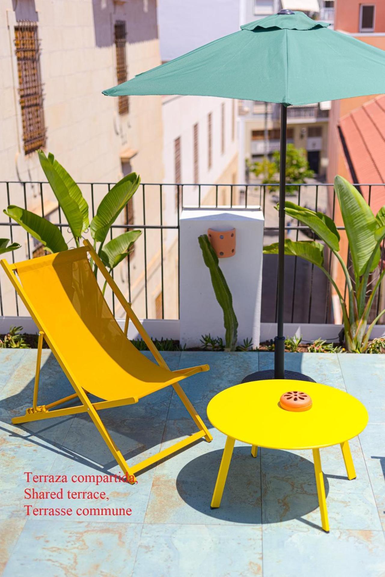 Refined And Practical Studio In Historic Center Of Αλικάντε Εξωτερικό φωτογραφία